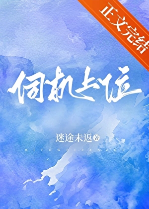 伺機上位小說封面