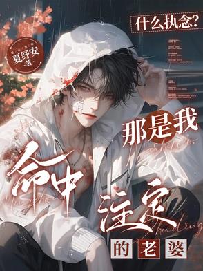 甚麼執念？那是我命中註定的老婆小說封面圖