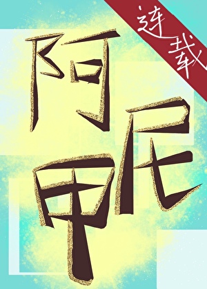 碎掉的阿尼甲回來了小說封面圖