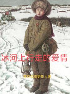 荒原諜影小說封面