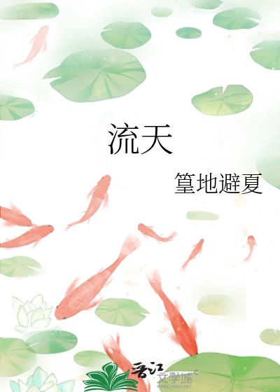 流天小說封面圖