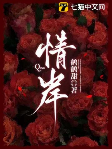 情岸小說封面圖