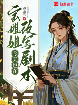 寶姐姐今天也在改寫劇本小說封面圖