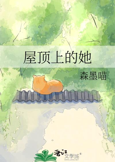 屋頂上的她小說封面圖