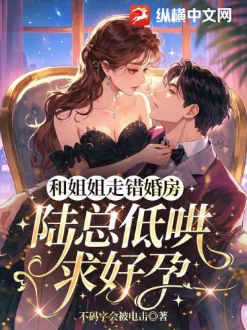 和姐姐走錯婚房，陸總低哄求好孕小說封面