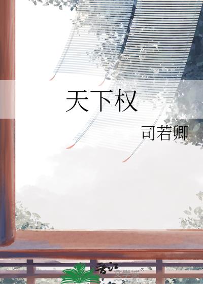 天下權小說封面