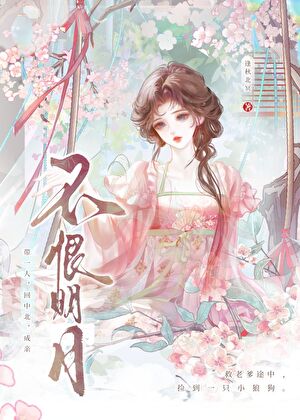 不恨明月小說封面