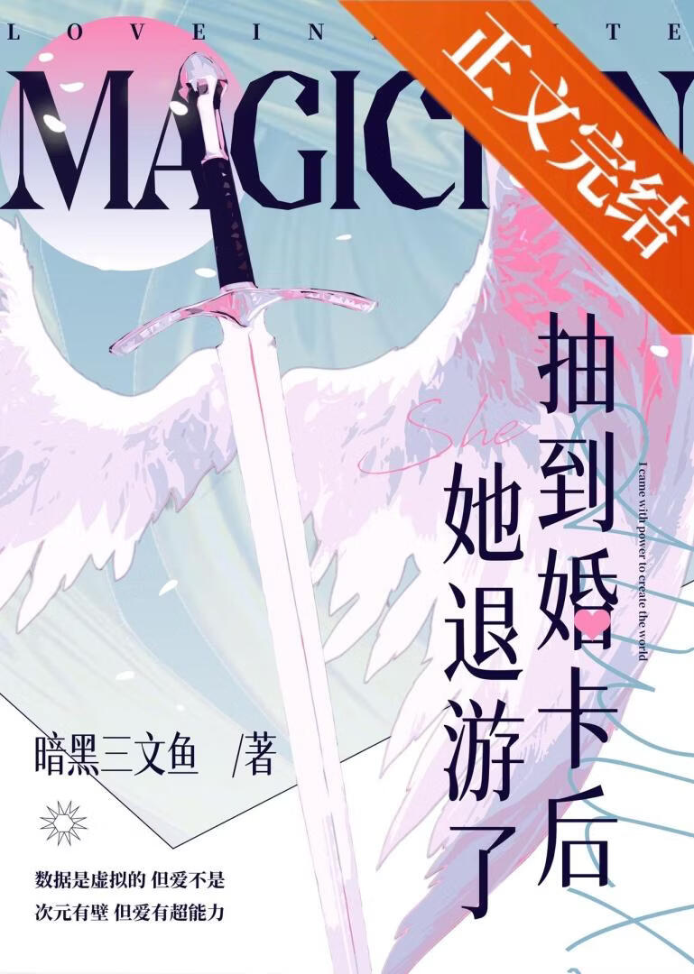 抽到婚卡後她退遊了小說封面圖