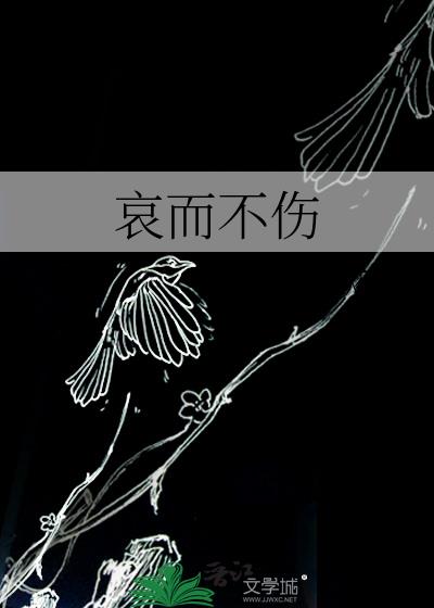 哀而不傷小說封面