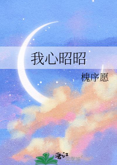 我心昭昭小說封面