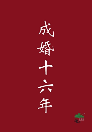 成婚十六年小說封面