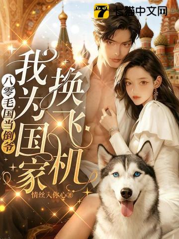 八零毛國當倒爺，我為國家換飛機小說封面