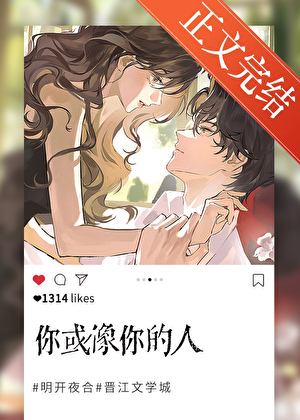 你或像你的人小說封面