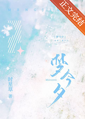夢今夕小說封面
