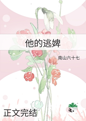 他的逃婢小說封面圖