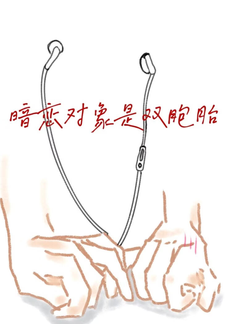 暗戀物件是雙胞胎小說封面