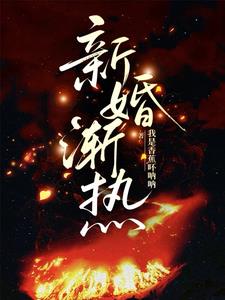 新婚漸熱小說封面