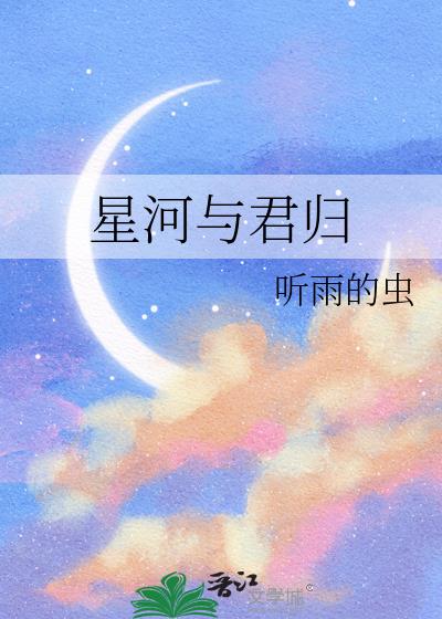 星河與君歸小說封面