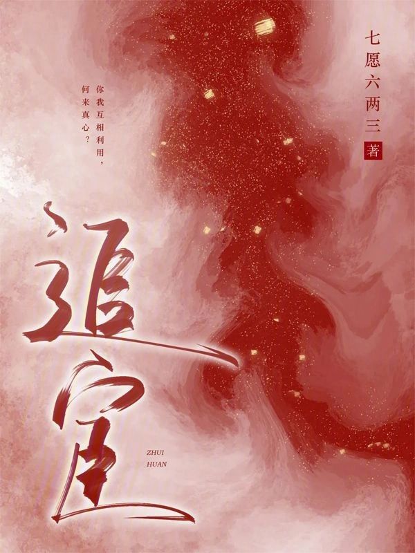 追宦小說封面