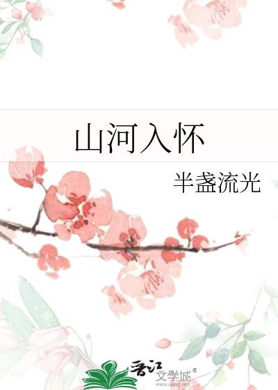 山河入懷小說封面
