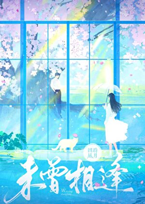 未曾相逢小說封面