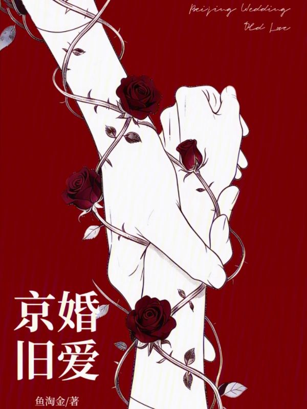 京婚舊愛小說封面