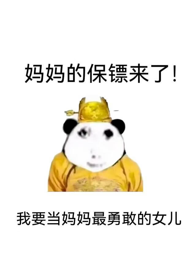 繼承母親的衣缽小說封面