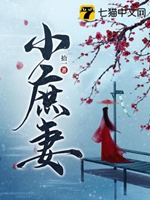小庶妻小說封面圖