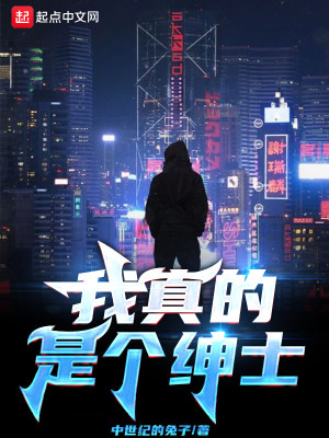 我真的是個紳士小說封面圖