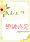 冰山上司想被疼愛小說封面