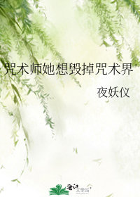 咒術師她想毀掉咒術界小說封面圖