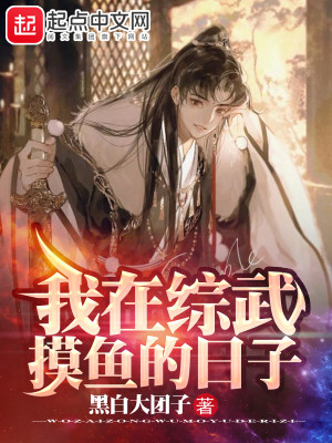 我在綜武摸魚的日子小說封面圖