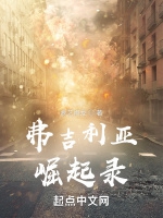 弗吉利亞崛起錄小說封面圖