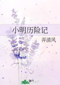 小明歷險記小說封面圖