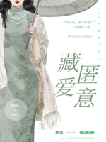 藏匿愛意小說封面