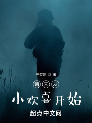 諸天從小歡喜開始小說封面圖